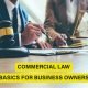 Learn key commercial law basics every business owner should know. Protect your business legally—discover essential legal tips now!